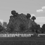 project thumbnail